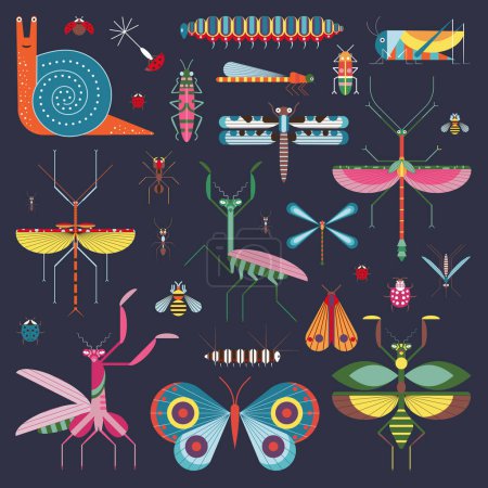 Illustration for Meadow insects icon set with grasshopper, butterfly, caterpillars, beetles, ladybugs, honey bee, dragonfly, stick insect, mosquito, ants, praying mantis and snail. Colorful geometric bugs collection. - Royalty Free Image