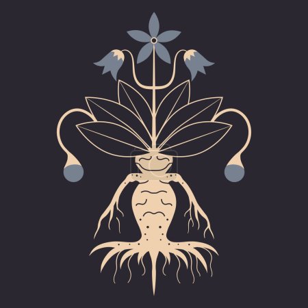Illustration for Witchcraft and alchemy occult icon with mandragora creature. Esoteric symbol of magic plant. - Royalty Free Image