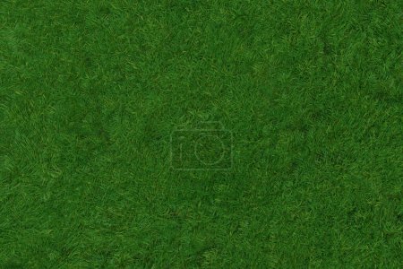Photo for Background Illustration of Overhead Lawn. Uneven green texture from a true overhead view - Royalty Free Image