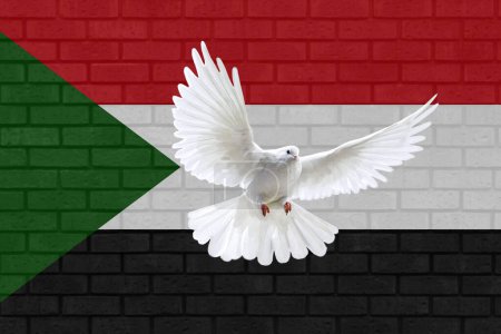 Photo for Dove fly in the background of Sudan flag and wall texture. Sudan war and peace concept. illustration design. - Royalty Free Image