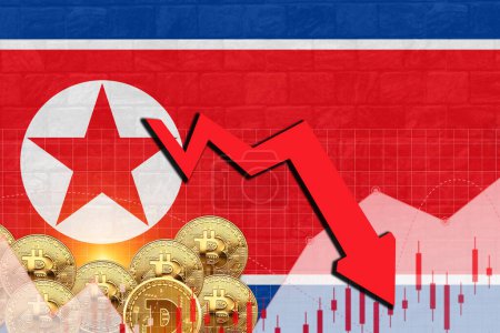 Photo for North Korea flag in wall texture with stock rate decrease and crypto currency graph illustration poster design. - Royalty Free Image