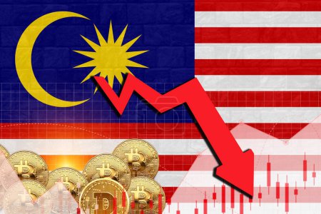 Photo for Malaysia flag in wall texture with stock rate decrease and crypto currency graph illustration poster design. - Royalty Free Image