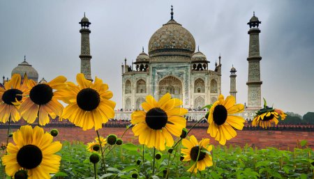 Photo for Chennai, India, 24 June 2023: Tajmahal with sunflower blossoms on a rainy day. Generative AI - Royalty Free Image