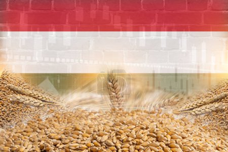 Téléchargez les photos : Groupe de céréales céréalières avec drapeau de Hongrie et illustration de texture murale. céréales commerce économie concept - en image libre de droit