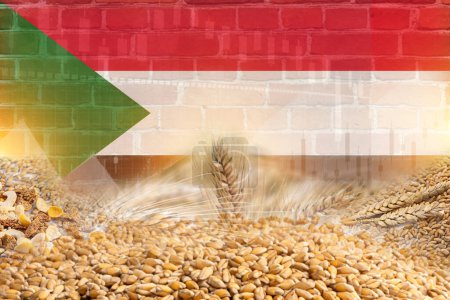 Téléchargez les photos : Groupe de céréales céréalières avec drapeau du Soudan et illustration de texture murale. céréales commerce économie concept. - en image libre de droit