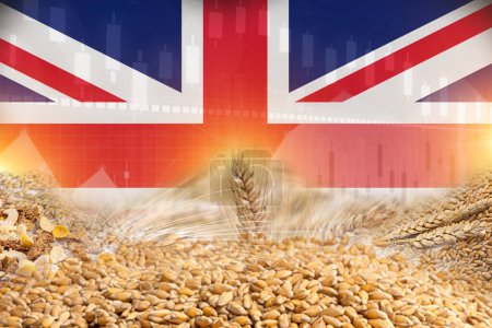 Téléchargez les photos : Groupe de céréales céréalières avec dessin d'affiche drapeau du Royaume-Uni. céréales commerce économie concept - en image libre de droit