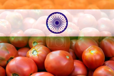 Foto de Lote de tomates con fondo de la bandera de la India. concepto de aumento del precio del tomate. - Imagen libre de derechos