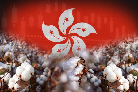 Foto de Grupo de plantas de algodón con diseño de póster ilustración bandera de Hong Kong. concepto de comercio de algodón. - Imagen libre de derechos