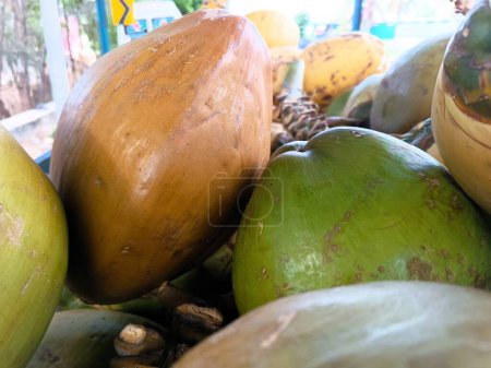 Pile of Coconuts at the Market. closeup image. 