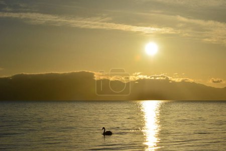 Téléchargez les photos : Les montagnes et les eaux autour du lac Tarim sont un paysage unique et magnifique qui vaut la peine d'être expérimenté - en image libre de droit