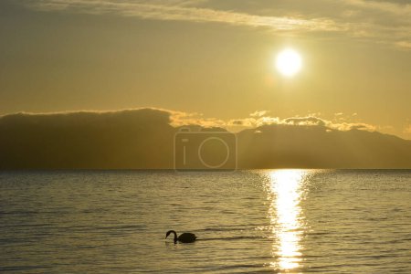 Téléchargez les photos : Les montagnes et les eaux autour du lac Tarim sont un paysage unique et magnifique qui vaut la peine d'être expérimenté - en image libre de droit