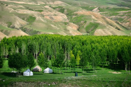 Ein kasachisches Filzhaus, auch Jurte genannt, ist eine traditionelle nomadische Behausung aus Filz und anderen natürlichen Materialien.