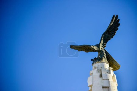Foto de Tayikos en Tashkurgan adoran al águila como símbolo de valentía - Imagen libre de derechos