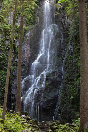 Foto de La cascada de Burgbach en el bosque de coníferas cae sobre rocas de granito en el valle cerca de Bad Rippoldsau-Schapbach, paisaje fotografiado en la naturaleza, Selva Negra, Alemania. - Imagen libre de derechos