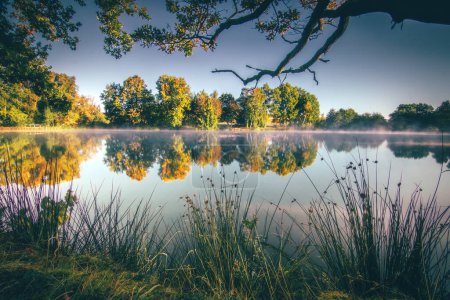 Foto de Puesta de sol sobre el lago hermoso amanecer en un lago en Alemania. con reflejo en el agua tranquila y hermosa naturaleza verde - Imagen libre de derechos