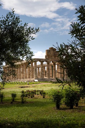 Foto de Parque Arqueológico Paestum. bellas ruinas históricas de templos de la época romana, Campania, Salerno, Italia - Imagen libre de derechos
