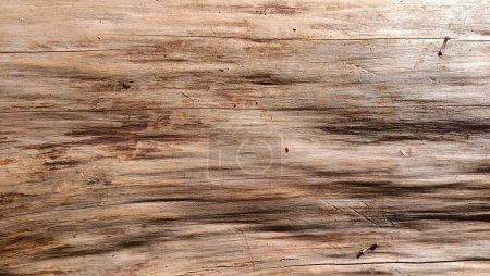 Téléchargez les photos : Texture d'un morceau de bois lisse sans écorce. Photo de haute qualité - en image libre de droit