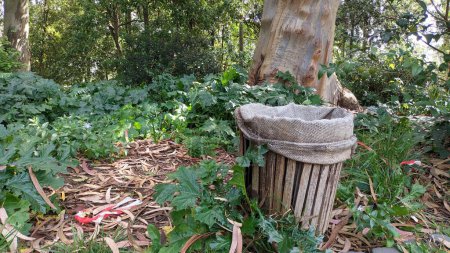 Téléchargez les photos : Une poubelle en bois avec un sac de tissu à l'intérieur du parc sur le fond d'un arbre. Photo de haute qualité - en image libre de droit