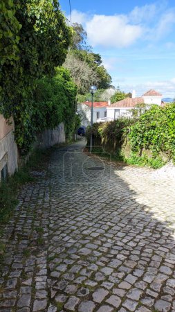 Téléchargez les photos : Une rue étroite à Sintra, Portugal, quartier de Lisbonne, la route est couverte de vieilles pierres, pavés de granit lors d'une journée ensoleillée promenades en plein air pour les touristes - en image libre de droit