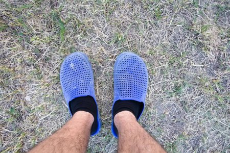 Photo for Hairy mens legs in black socks, shod in old blue street slippers with holes, stands on a half-dried lawn in the courtyard of the house looking down at your feet - Royalty Free Image