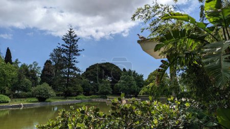 Téléchargez les photos : Un beau parc et un petit lac avec des feuillus et des conifères, une oie se dresse sur la verrière du bâtiment photo - en image libre de droit