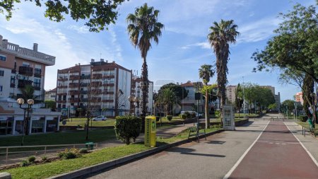Téléchargez les photos : Bel immeuble avec pelouse, palmiers et pistes de jogging contre un ciel bleu photo - en image libre de droit
