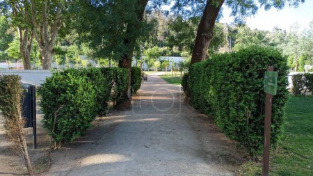 Photo for A path on both sides: trimmed shrubs and trees in a park in Lisbon photo - Royalty Free Image