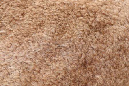 A detailed closeup of a brown carpet texture made from wool and fur, featuring a pattern of beige and peach tones. The flooring is soft and cozy, reminiscent of soil and bran