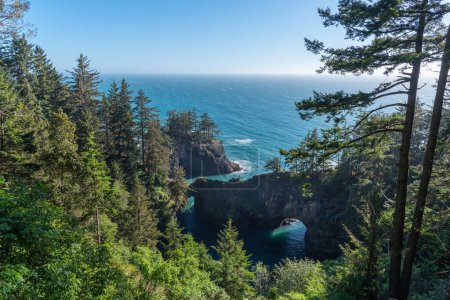 Photo for The beautiful and rugged southern Oregon Coast, Samuel Boardman State Scenic Corridor - Royalty Free Image