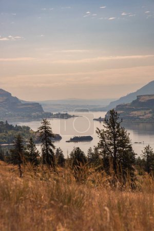 Téléchargez les photos : Majestueuse vue estivale sur les gorges de l'est du fleuve Columbia depuis la randonnée du ruisseau Catherine, État de Washington - en image libre de droit