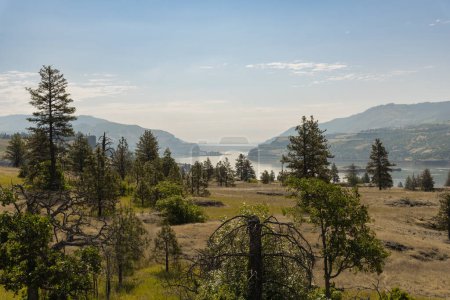 Téléchargez les photos : Belle et majestueuse vue sur les gorges du fleuve Columbia - en image libre de droit