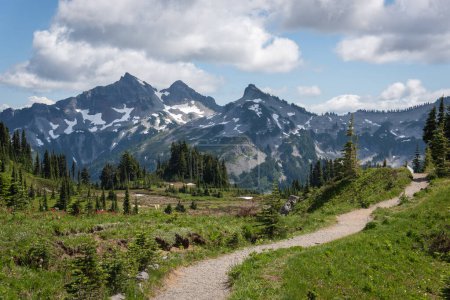 Téléchargez les photos : Sentier de randonnée à travers les prairies alpines avec la chaîne de montagnes Tatoosh dans le parc national Mt Rainier, État de Washington - en image libre de droit