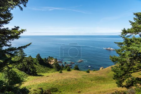 Foto de Hermosas vistas del gran océano Pacífico azul y escarpados acantilados de la costa de Oregon - Imagen libre de derechos