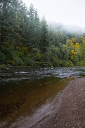 Téléchargez les photos : Bridal Veil Creek, Columbia River Gorge, Oregon, coule à travers la belle forêt du Pacifique Nord-Ouest - en image libre de droit