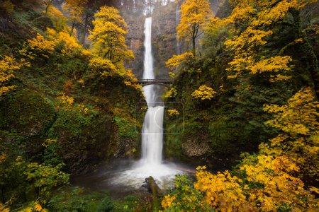 Foto de Otoño en Multnomah Falls, Oregon - Imagen libre de derechos