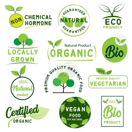 Téléchargez les photos : Ensemble d'aliments biologiques, de produits naturels et de vie saine logo, autocollants et badges. - en image libre de droit