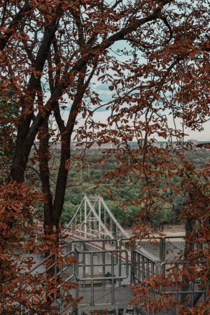 Téléchargez les photos : Un pont peut être vu à travers l'arbre d'automne - en image libre de droit