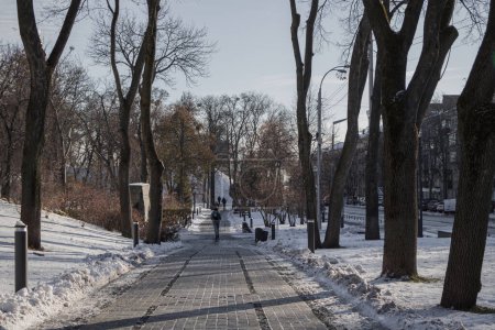 Téléchargez les photos : Kiev, Ukraine. 30.11.2023 : le soleil brille dans le parc d'hiver Slavy - en image libre de droit