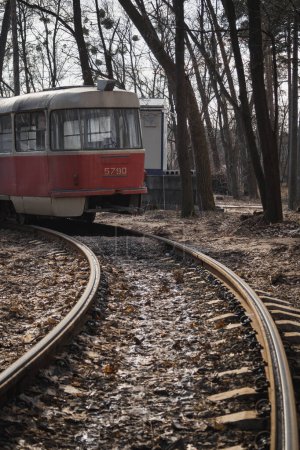 Photo for Pushcha-Vodytsia, Ukraine. February 22, 2024. The sun is shining in the last days of winter. incredible beauty in the forest. a tram goes from Kyiv to the forest. goes through the city into the forest - Royalty Free Image