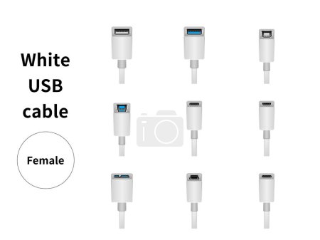 It is an illustration set of white USB cable/female.