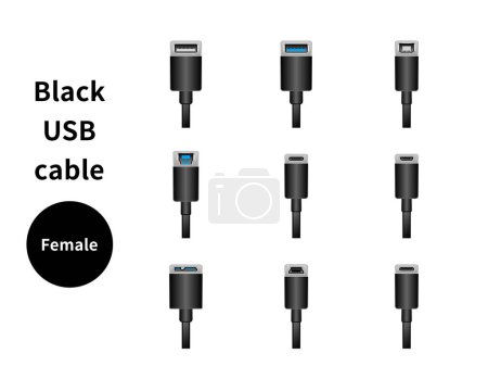 Ilustración de Es un conjunto de ilustración de cable USB negro / hembra. - Imagen libre de derechos