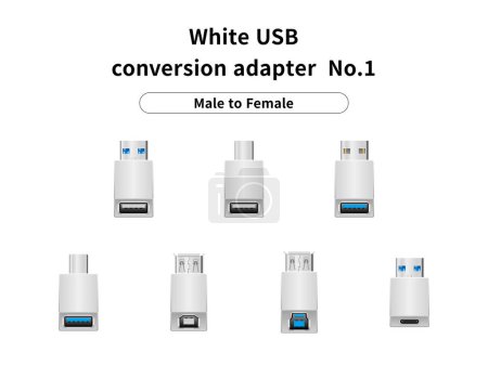 Es un conjunto de ilustración de adaptador de conversión USB blanco / macho a hembra No.1.