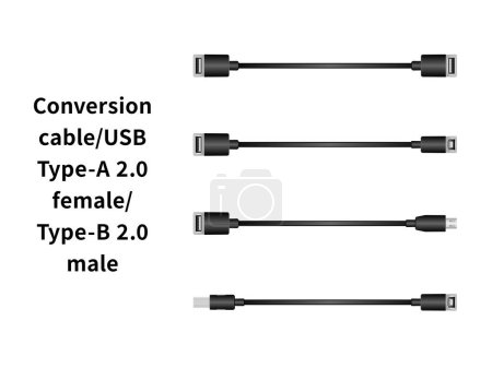 Ilustración de Cable de conversión / USB Tipo-A 2.0 hembra / Tipo-B 2.0 macho ilustración conjunto. - Imagen libre de derechos