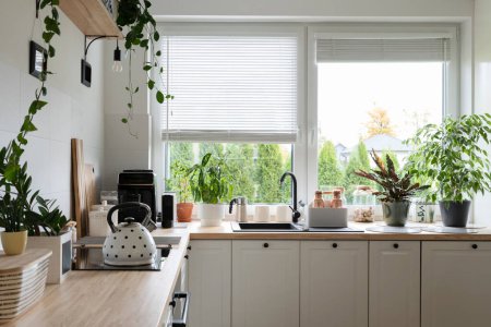 Photo for Kitchen interior with window with blinds and green plants at cozy home. Wooden counter, sink with tap and white cabinets in stylish apartment. - Royalty Free Image