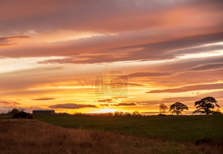 Photo for Landscape photography of stunning sunset, field, trees, sky, clouds - Royalty Free Image