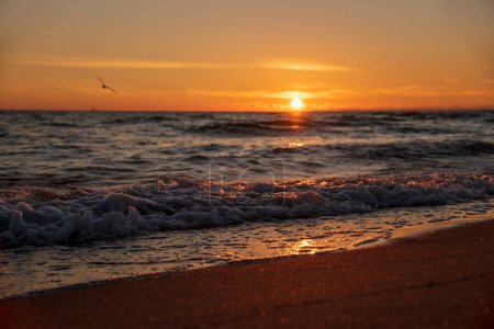 Téléchargez les photos : Photographie de paysage de coucher de soleil, plage, mer, vague - en image libre de droit