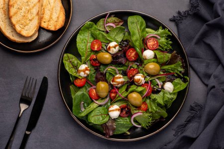 Téléchargez les photos : Photographie culinaire de salade avec mozzarella, fromage, feuilles, tomate, oignon, balsamique, toasts - en image libre de droit