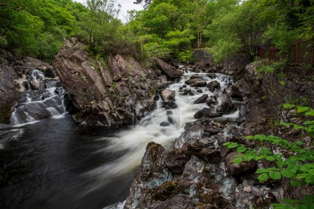Téléchargez les photos : Photographie de paysage de cascade dans la forêt, ruisseau, panorama, nature, sérénité, paysage, rocher, pierre - en image libre de droit
