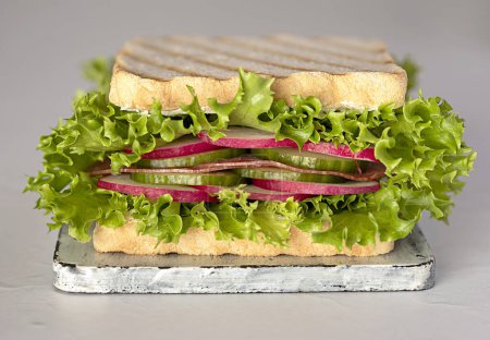 Foto de Macro food fotografía de sándwich, lechuga, tostadas, rábano, salami, pepino, suave, queso, mesa, tabla, tabla, vegetal, rebanada - Imagen libre de derechos