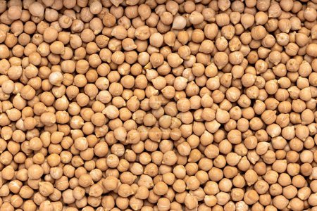 Photo for Blank macro photography of raw chickpea, leguminous, groat; health; vegetarian; natural; carbohydrates; closeup - Royalty Free Image